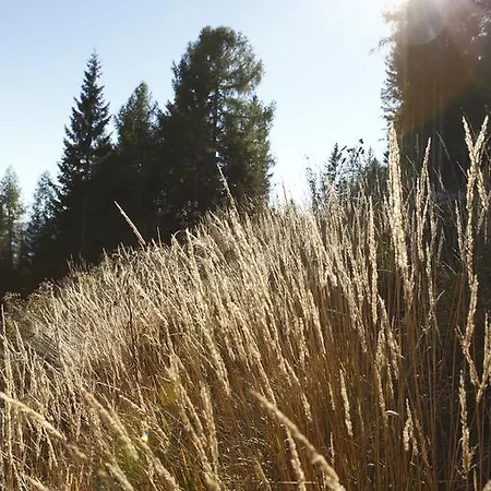 Allesbauer - Familie Preis * Trebesing