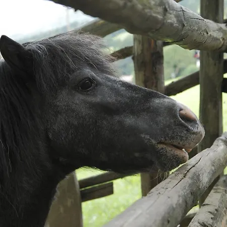 Agroturismo Allesbauer - Familie Preis *