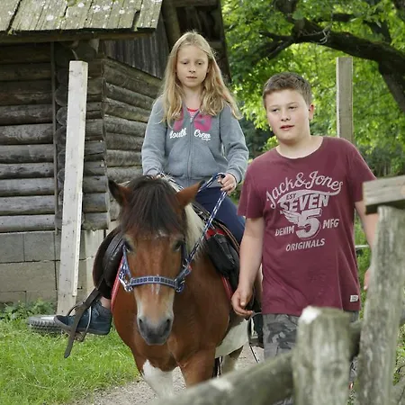 Bauernhof Allesbauer - Familie Preis Trebesing
