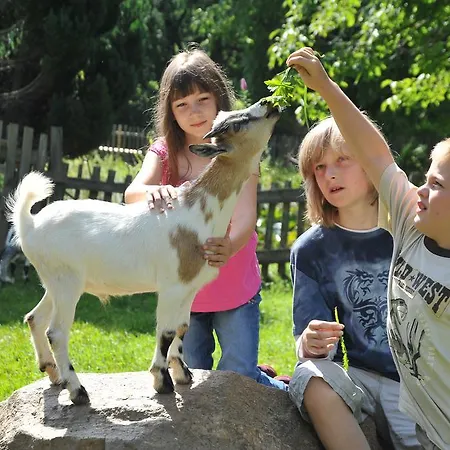 Allesbauer - Familie Preis Trebesing