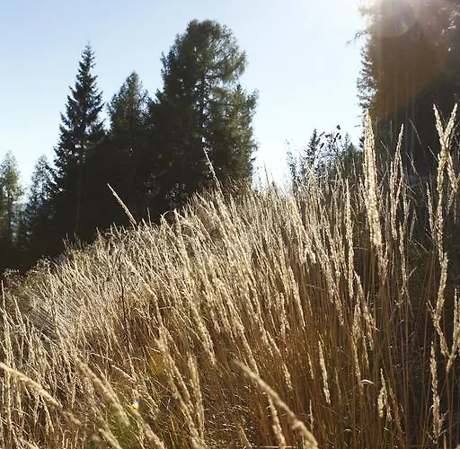 Allesbauer - Familie Preis * Trebesing